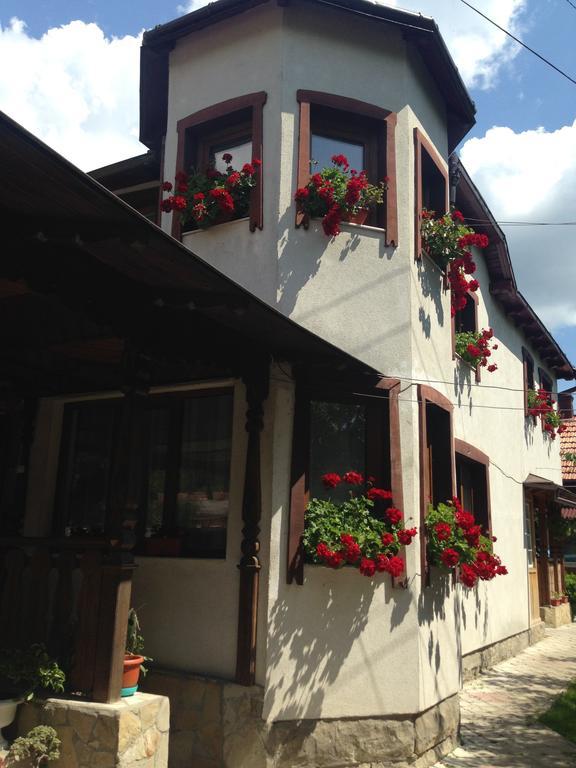 Pensiunea Casa Bianca - Bucovina Vama  Eksteriør bilde